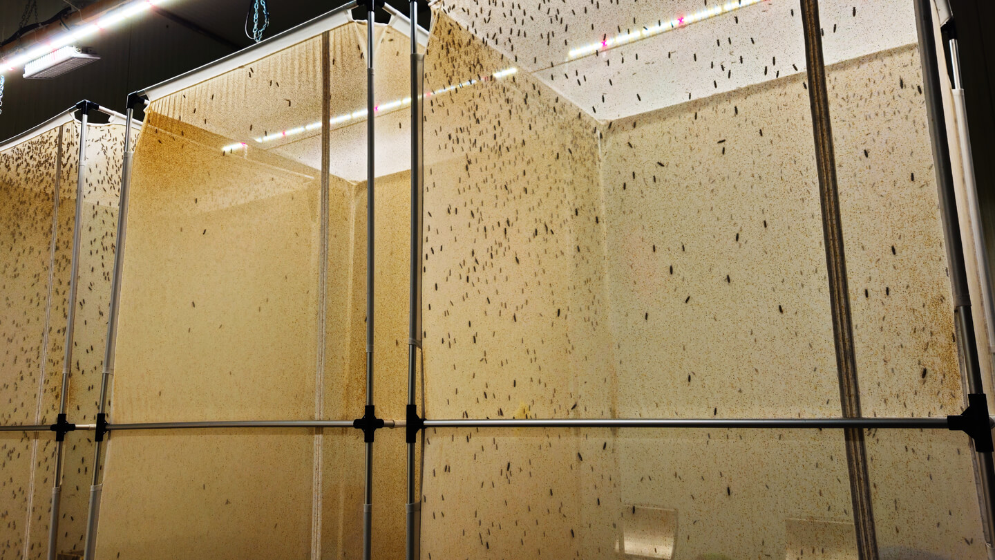 reprofly-image20-gallery