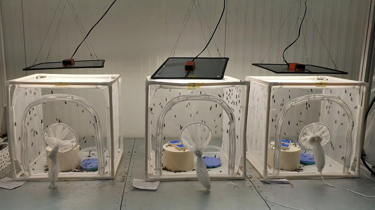 reprofly-image7-gallery