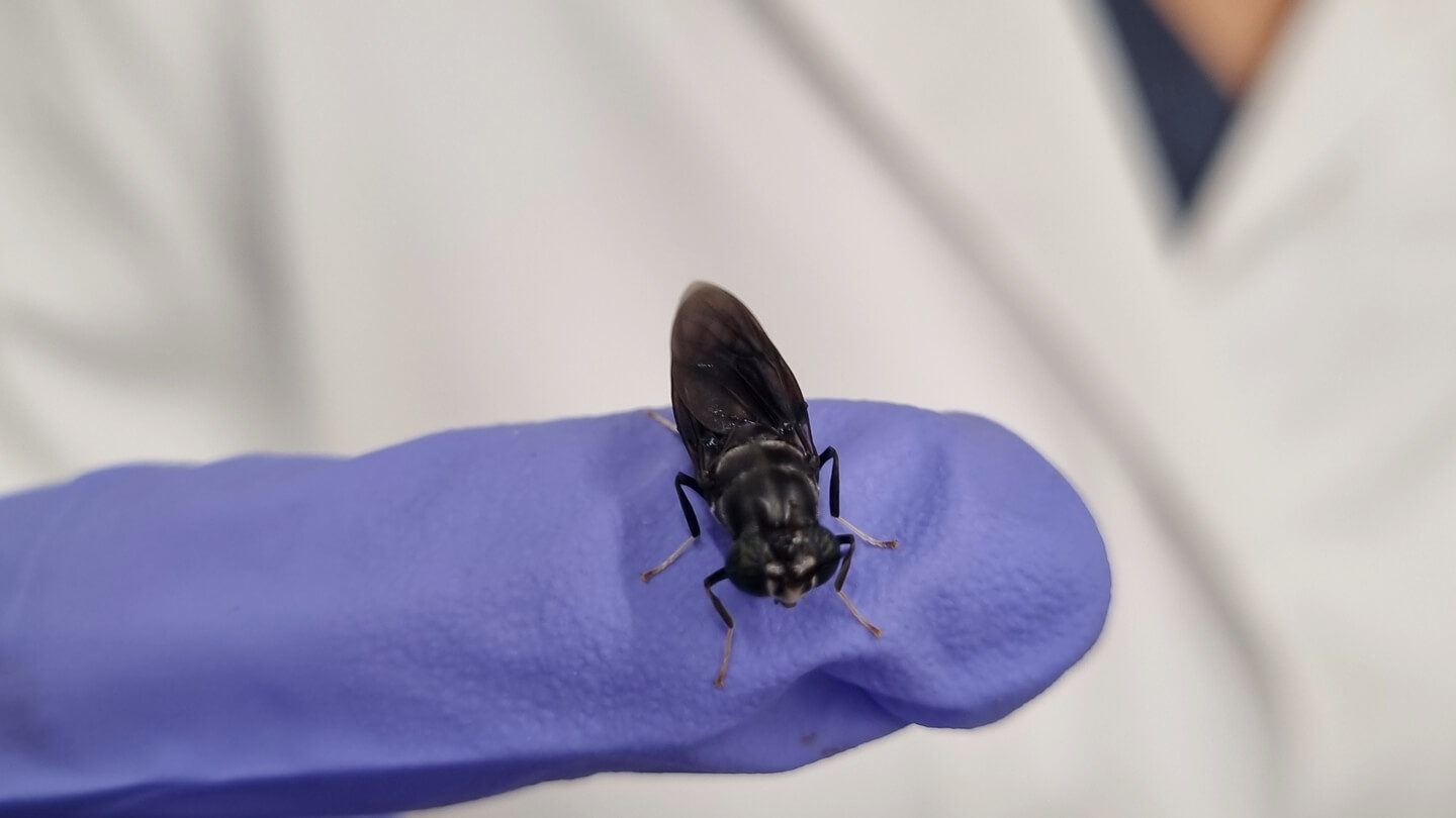 reprofly-image8-gallery